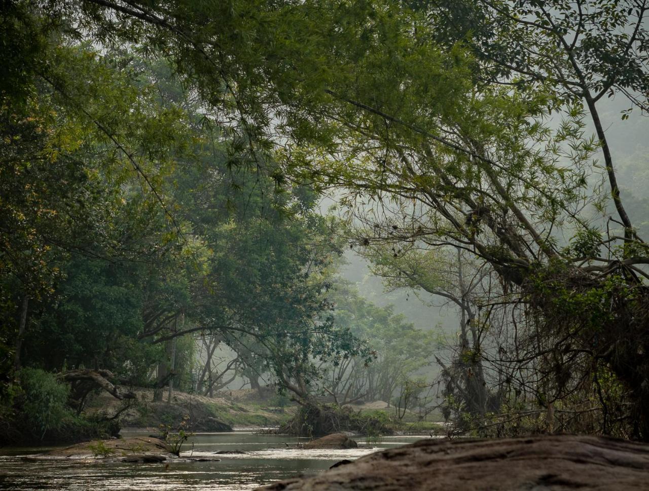 Quiet By The River- Cgh Earth Thodakayam Exteriör bild