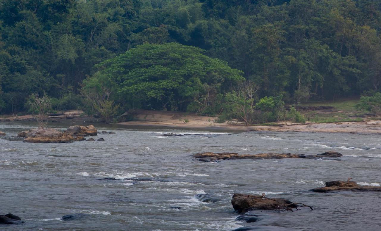 Quiet By The River- Cgh Earth Thodakayam Exteriör bild